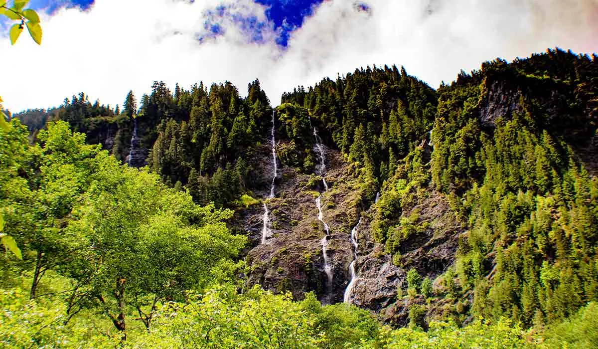 sobrevivir a perderse en el bosque