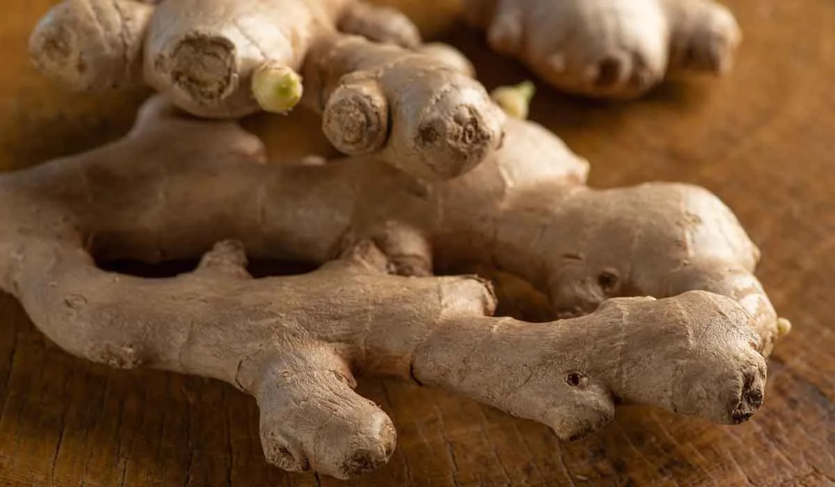 gomitas de jengibre contra la artritis