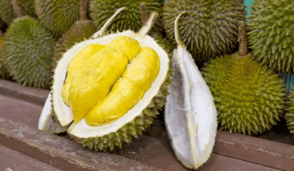Durian: la fruta más apestosa del mundo