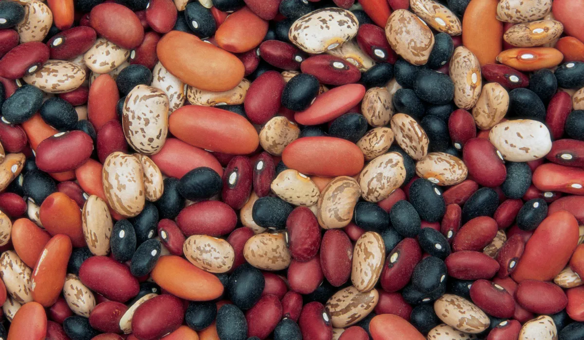 Estas recomendaciones están respaldadas por evidencia científica en temas de salud digestiva. Consultar con un especialista en nutrición siempre es lo mejor si los síntomas persisten.