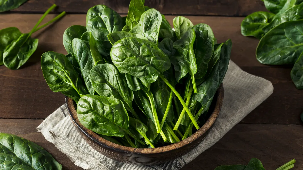 Las espinacas son más que una verdura: descubre sus 11 beneficios para la salud, desde controlar la diabetes hasta fortalecer tus huesos.