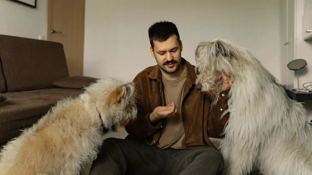 píldora antienvejecimiento en perros