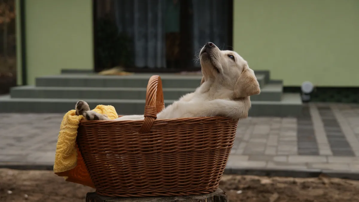 Celebra el Día Mundial de la Relajación con estos tips