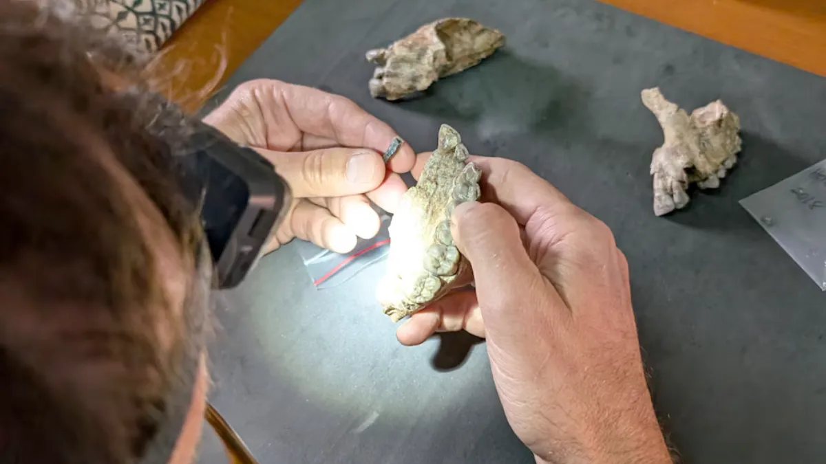 El hallazgo de una nueva especie hominina cambia la historia