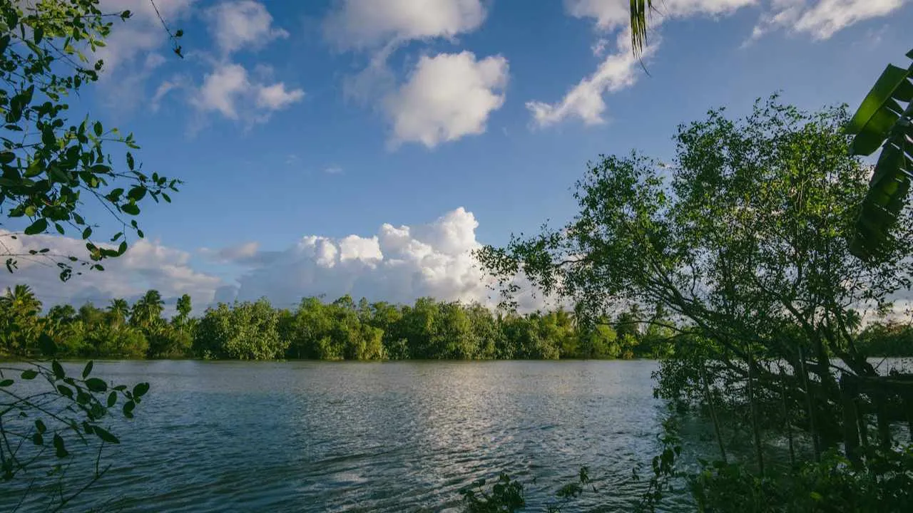 Brasil descubre reserva de agua para abastecer al mundo por 250 años. Foto: Pexels.