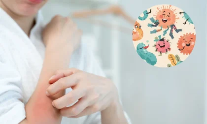 El secreto para una piel sana podría estar en lo que comes, no en tus cremas: salud intestinal y piel