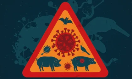 descuido animal pone en riesgo la salud humana