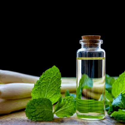 Descubre el poder relajante del bálsamo de eucalipto y menta.