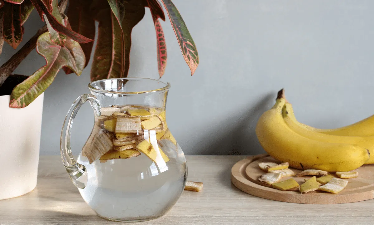 cáscara de plátano con vinagre