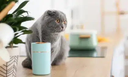 hacer deshumidificador casero casero