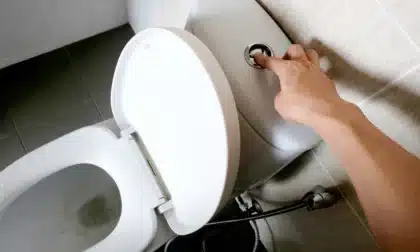 Descargar el inodoro con la tapa levantada libera bacterias y virus al aire.