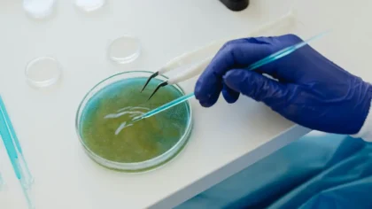 La UNAM descubre bacteria que permite degradar el plástico en tiempo récord