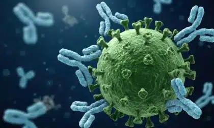 El virus Nipah es una zoonosis letal bajo vigilancia internacional.