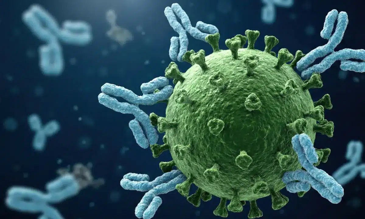 El virus Nipah es una zoonosis letal bajo vigilancia internacional.